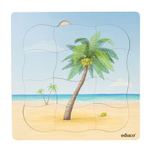 Growth puzzle coconut palm