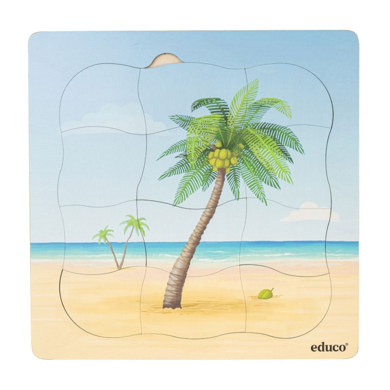 Growth puzzle coconut palm