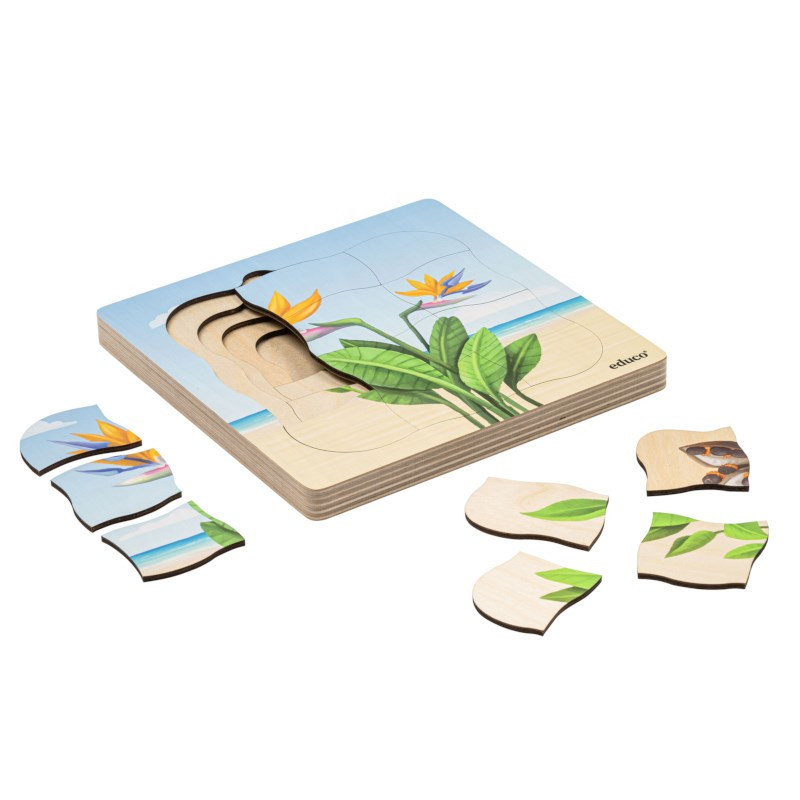 Growth puzzle paradise plant