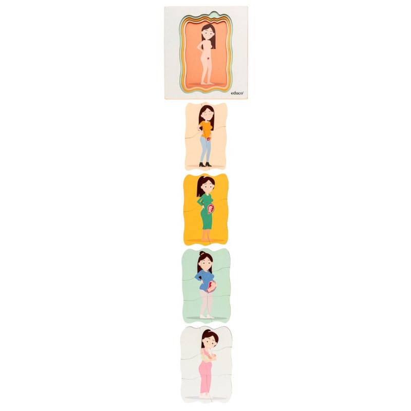 Growth puzzle life phase – pregnancy