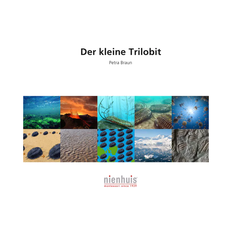 Der kleine Trilobit