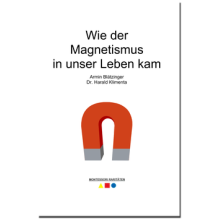 Wie der Magnetismus in unser Leben kam