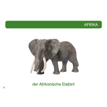 Kartei Tiere Afrika