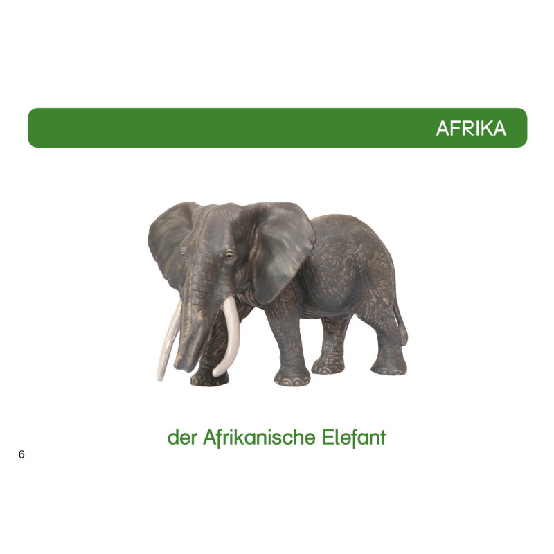 Card file animals Africa