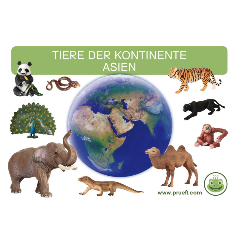Kartei Tiere Asien