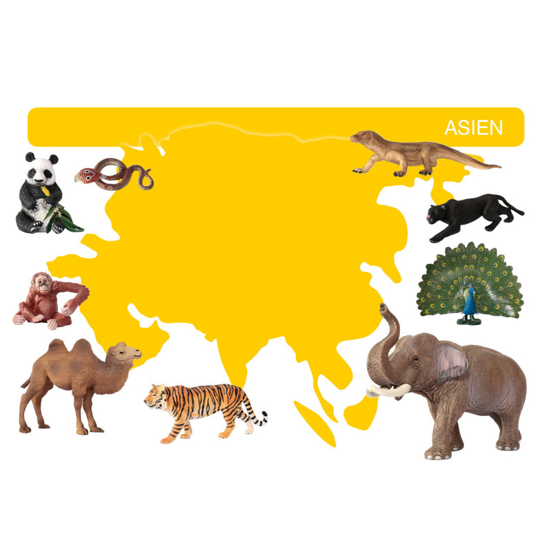 Kartei Tiere Asien
