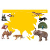 Kartei Tiere Asien