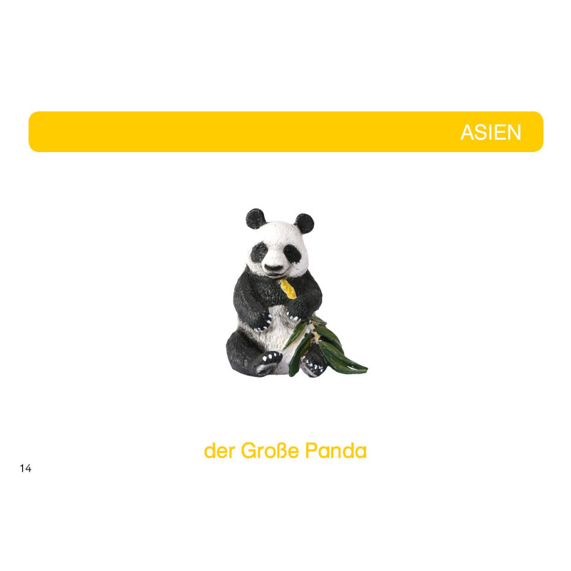 Kartei Tiere Asien