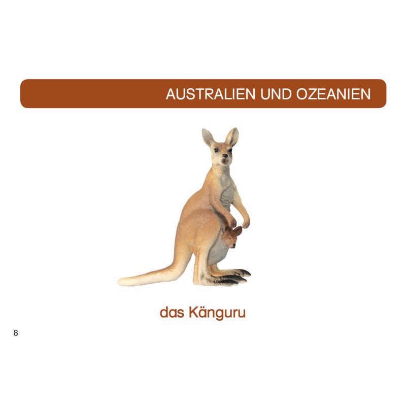 kópia z kópia z kópia z Kartei Tiere Europa