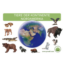 Kartei Tiere Nordamerika