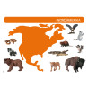 Card file animals North America
