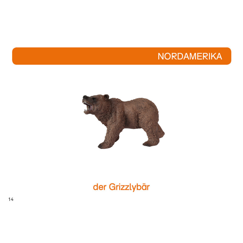 Kartei Tiere Nordamerika