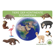 Kartei Tiere Südamerika