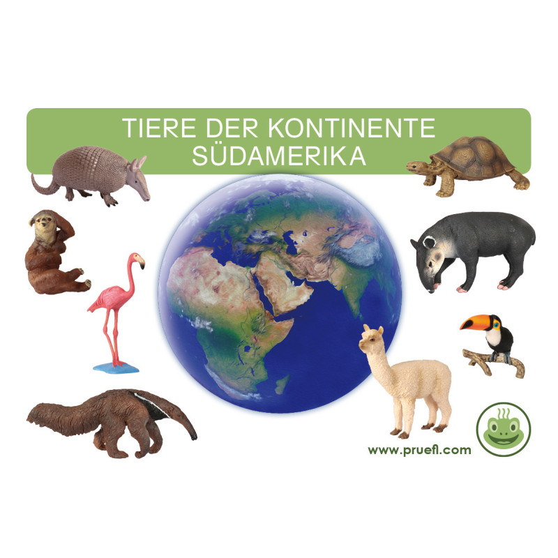 Card file animals South America