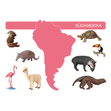 Card file animals South America