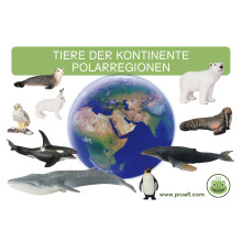 kópia z kópia z kópia z kópia z kópia z kópia z Kartei Tiere Europa