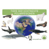 Card file animals polar region