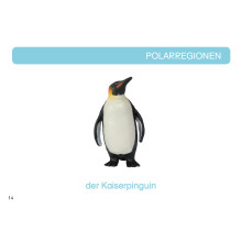 kópia z kópia z kópia z kópia z kópia z kópia z Kartei Tiere Europa