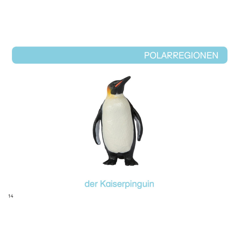 kópia z kópia z kópia z kópia z kópia z kópia z Kartei Tiere Europa