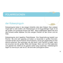Card file animals polar region