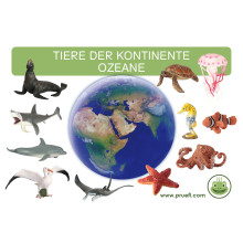 Kartei Tiere Ozeane