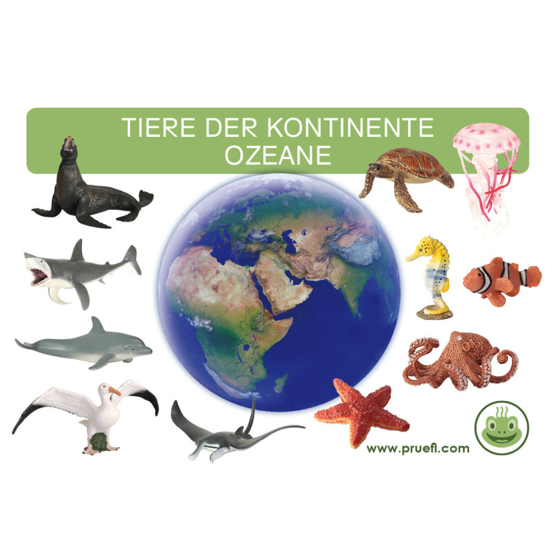 Card file animals oceans