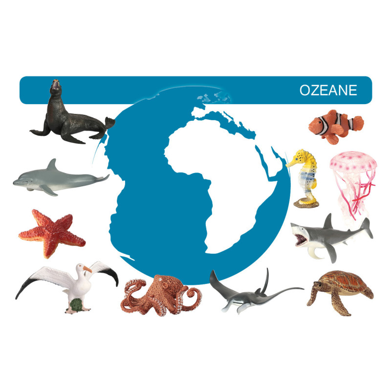 Card file animals oceans