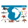 Card file animals oceans