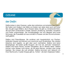 Card file animals oceans