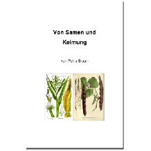 Forscherheft Bohne – Von Samen und Keimung
