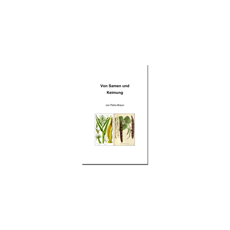 Research Notebook Bean – From Seeds and Germination