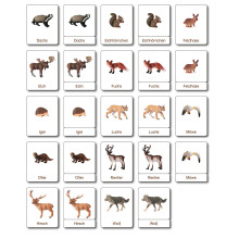 Klassifikationskarten - Tiere aus Europa - Deutsch