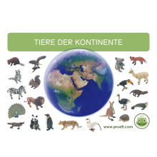 Animals of the Continents