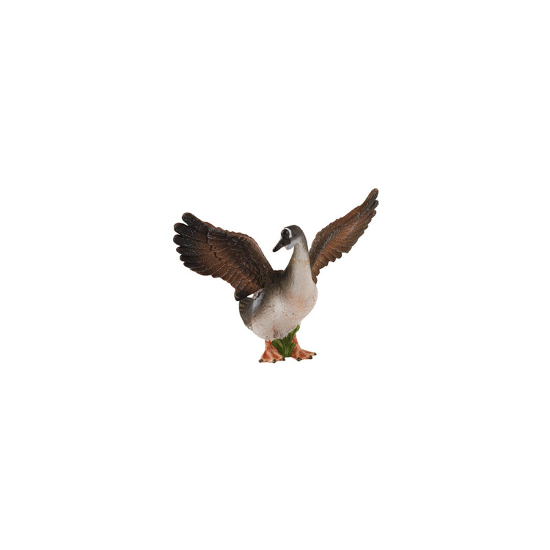 Animal family - Goose - German