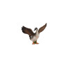Tierfamilie - Gans - Deutsch