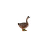 Tierfamilie - Gans - Deutsch