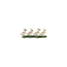 Tierfamilie - Gans - Deutsch