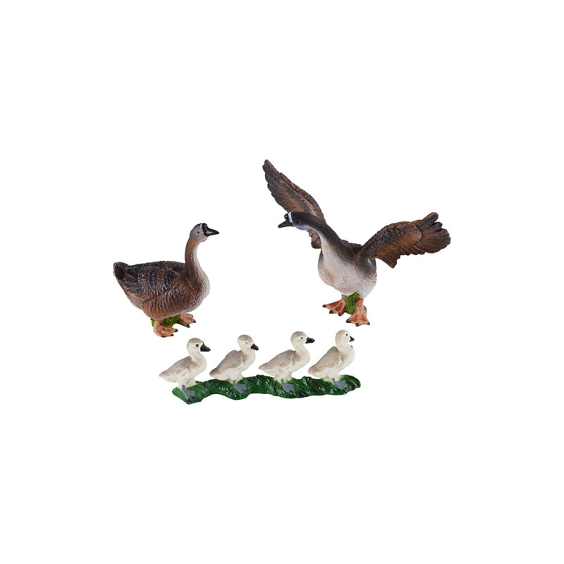 Tierfamilie - Gans - Deutsch