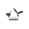 Animal family - Goose - German