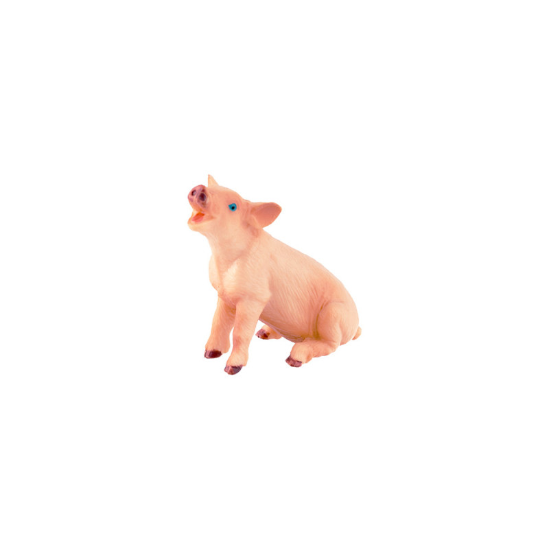 Tierfamilie - Schwein - Englisch