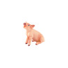 Tierfamilie - Schwein - Englisch