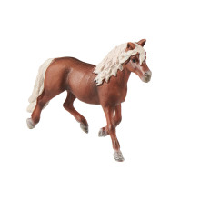 Tierfamilie - Pferd - Englisch