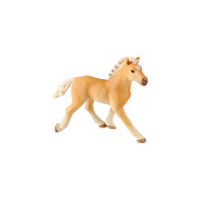 Tierfamilie - Pferd - Englisch
