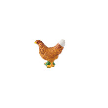 animal family - chicken - German