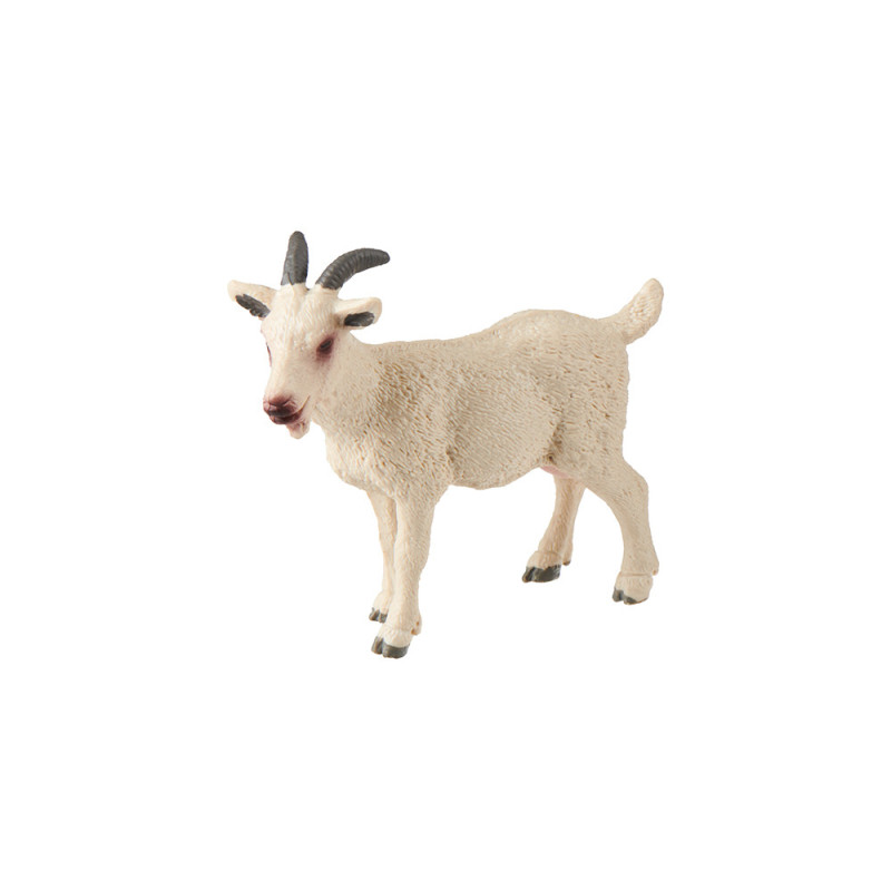 animal family - goat - German