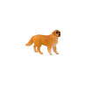 Tierfamilie - Hund - Deutsch