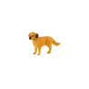 Tierfamilie - Hund - Englisch