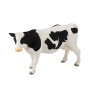 Tierfamilie - Rind - Deutsch