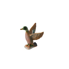 Tierfamilie - Ente - Englisch