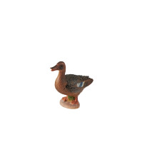 Tierfamilie - Ente - Englisch